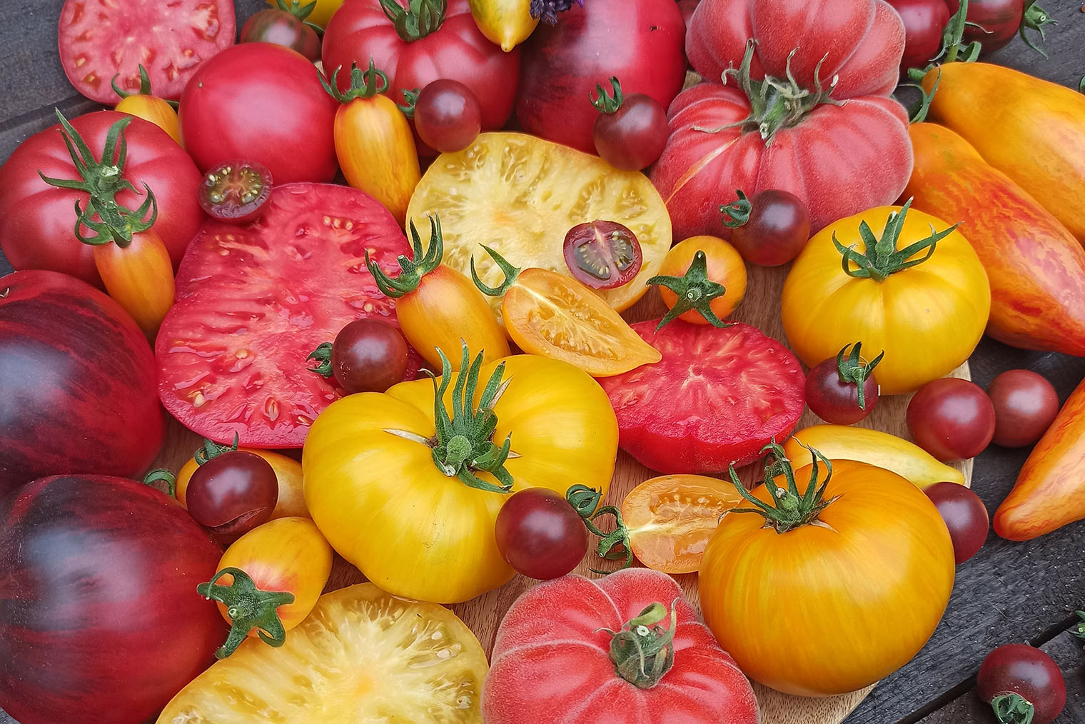 Когда созревают первые помидоры, у нас в семье устраивают дегустацию, чтобы сравнить вкусы и решить, какие сорта и гибриды нравятся