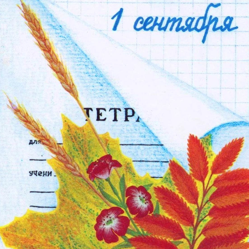 Тетрадь