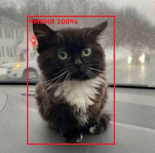 Стопроцентный малыш. © pin.it