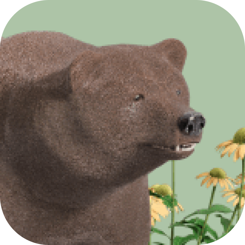 Что посмотреть в России