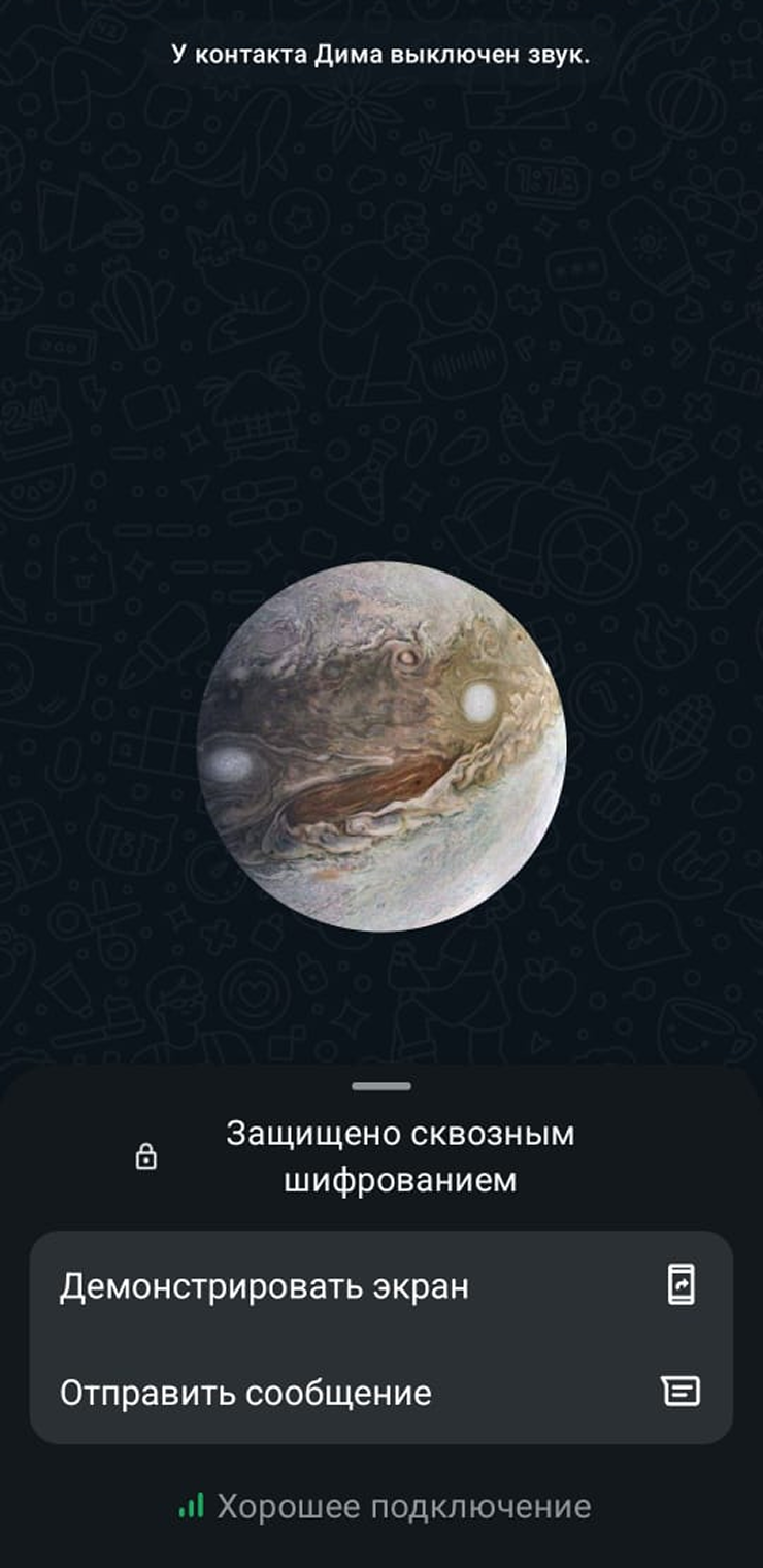 Если на экране есть уведомление о хорошем качестве связи, можно включать камеру: проблем быть не должно
