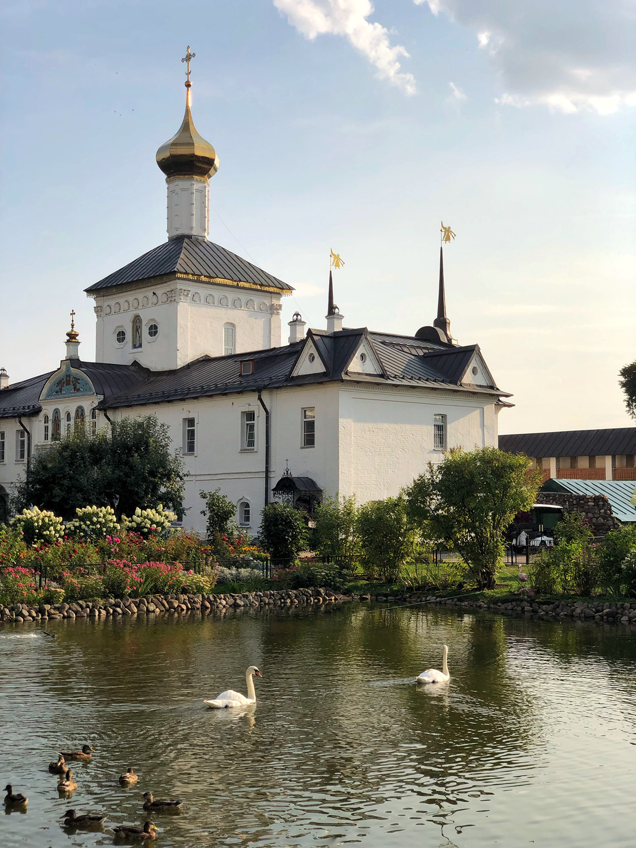 Лебеди в пруду около Толгского монастыря