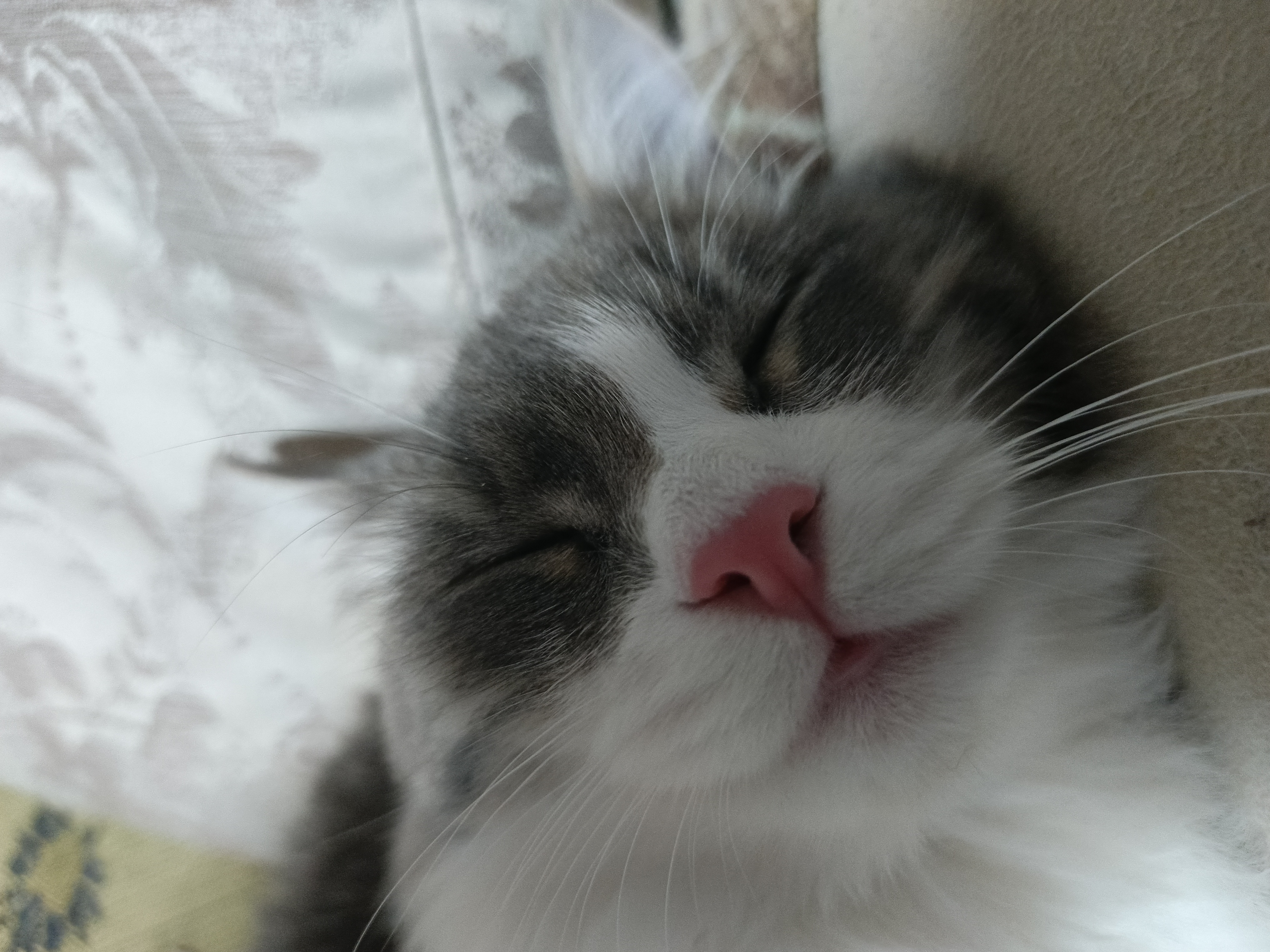Спит зайка 🥰