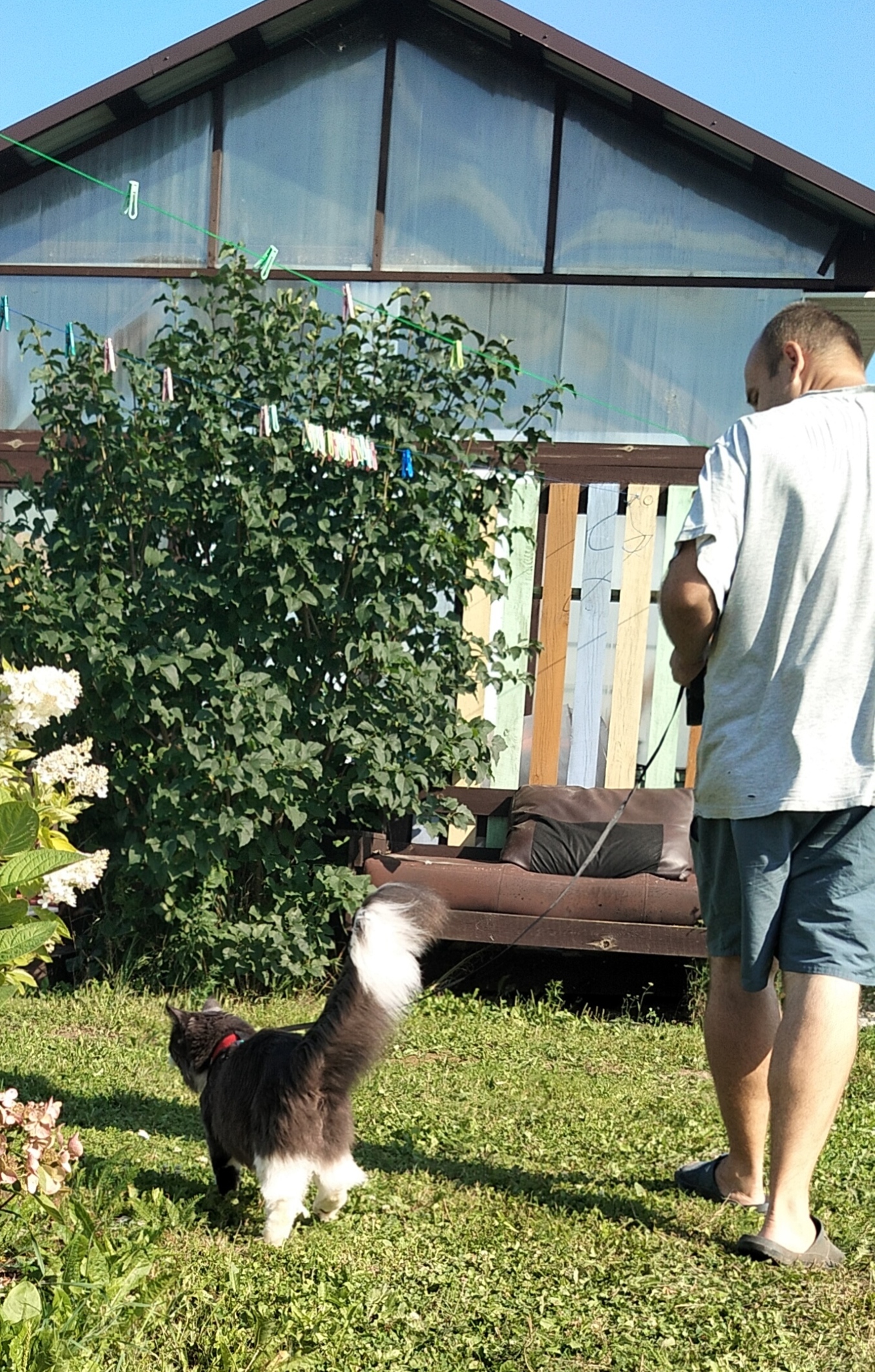 И страшно и все увидеть хочется