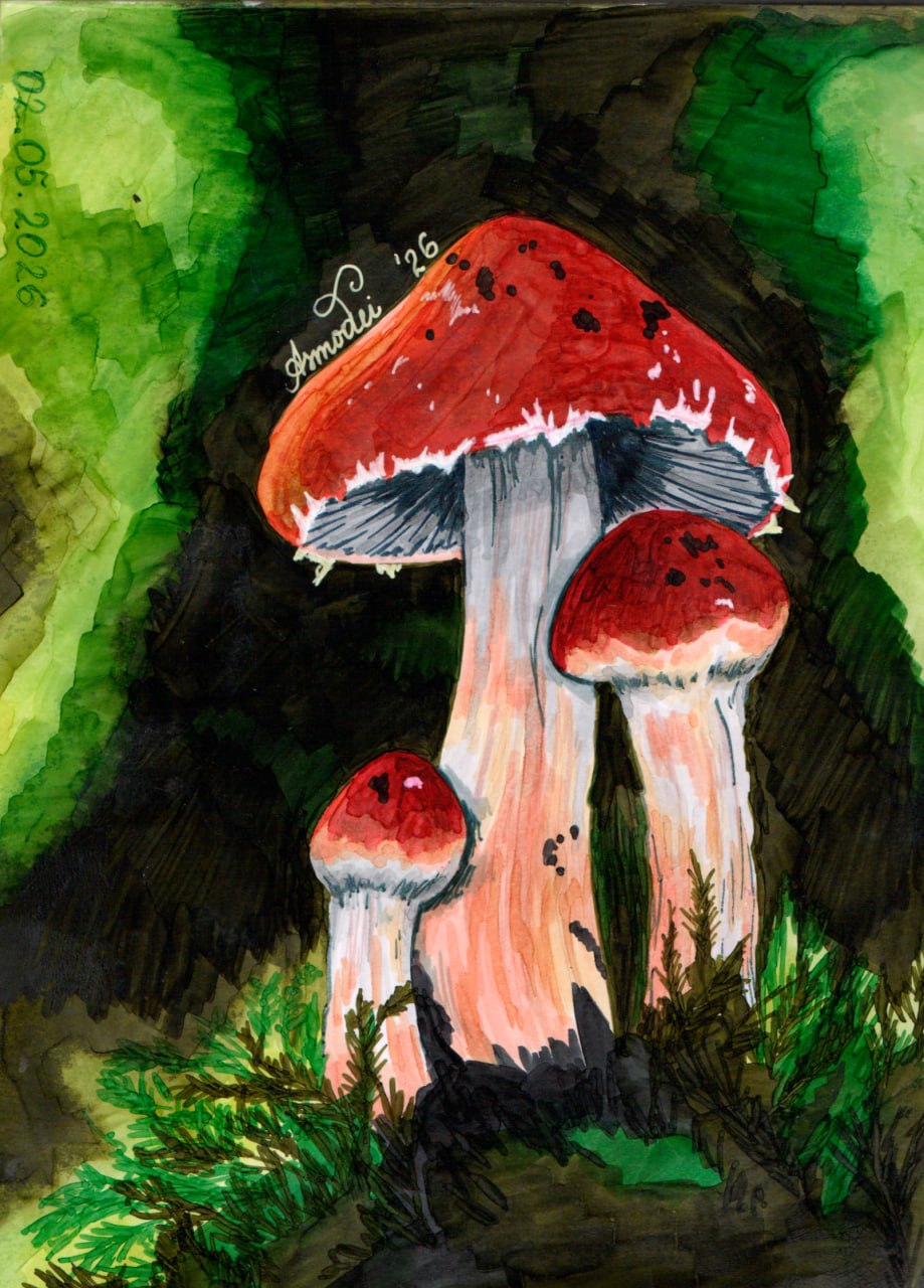 Ярко, но не съедобно 🍄