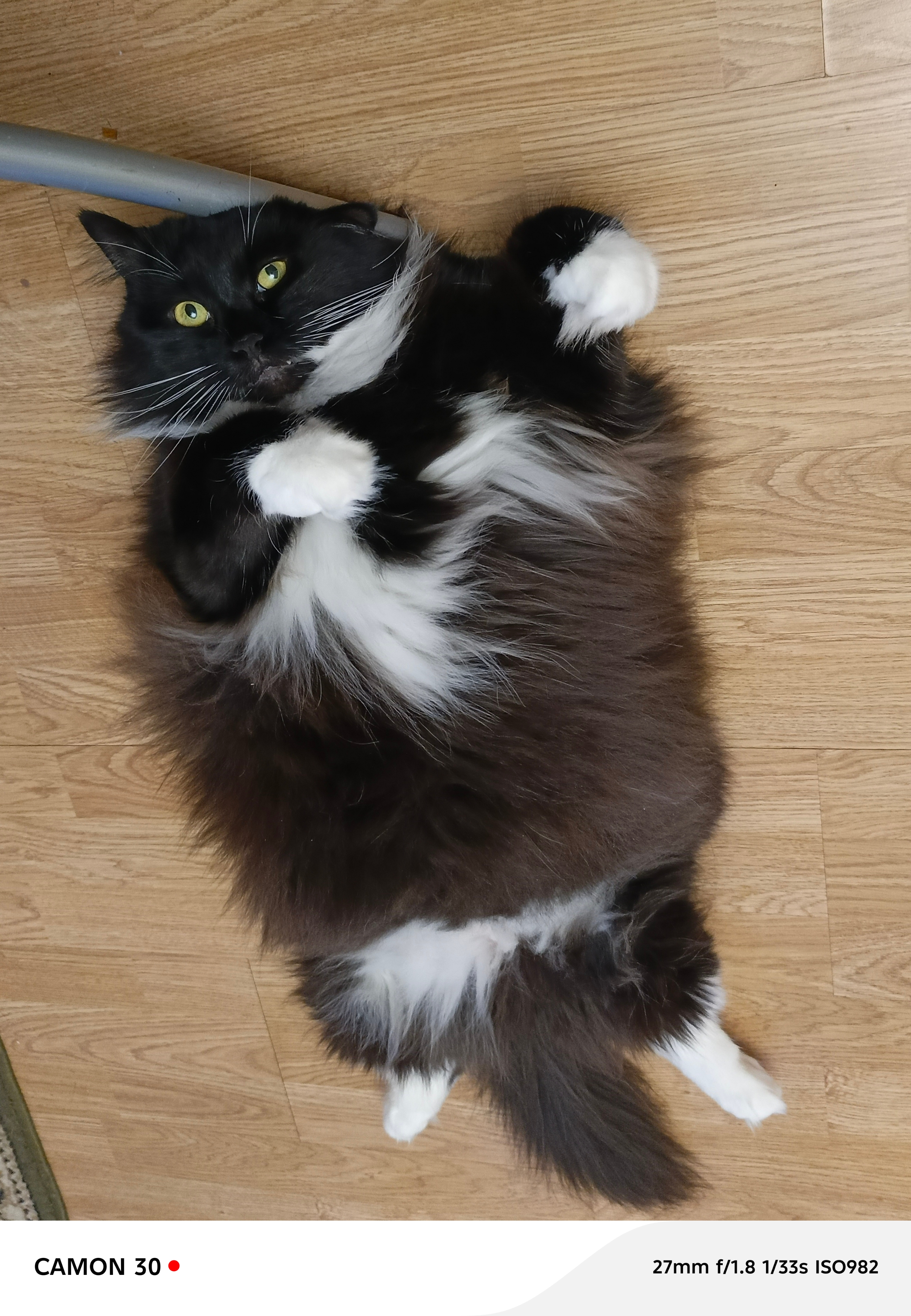 Елисей успешно прошёл зажировку — 9 кг😻