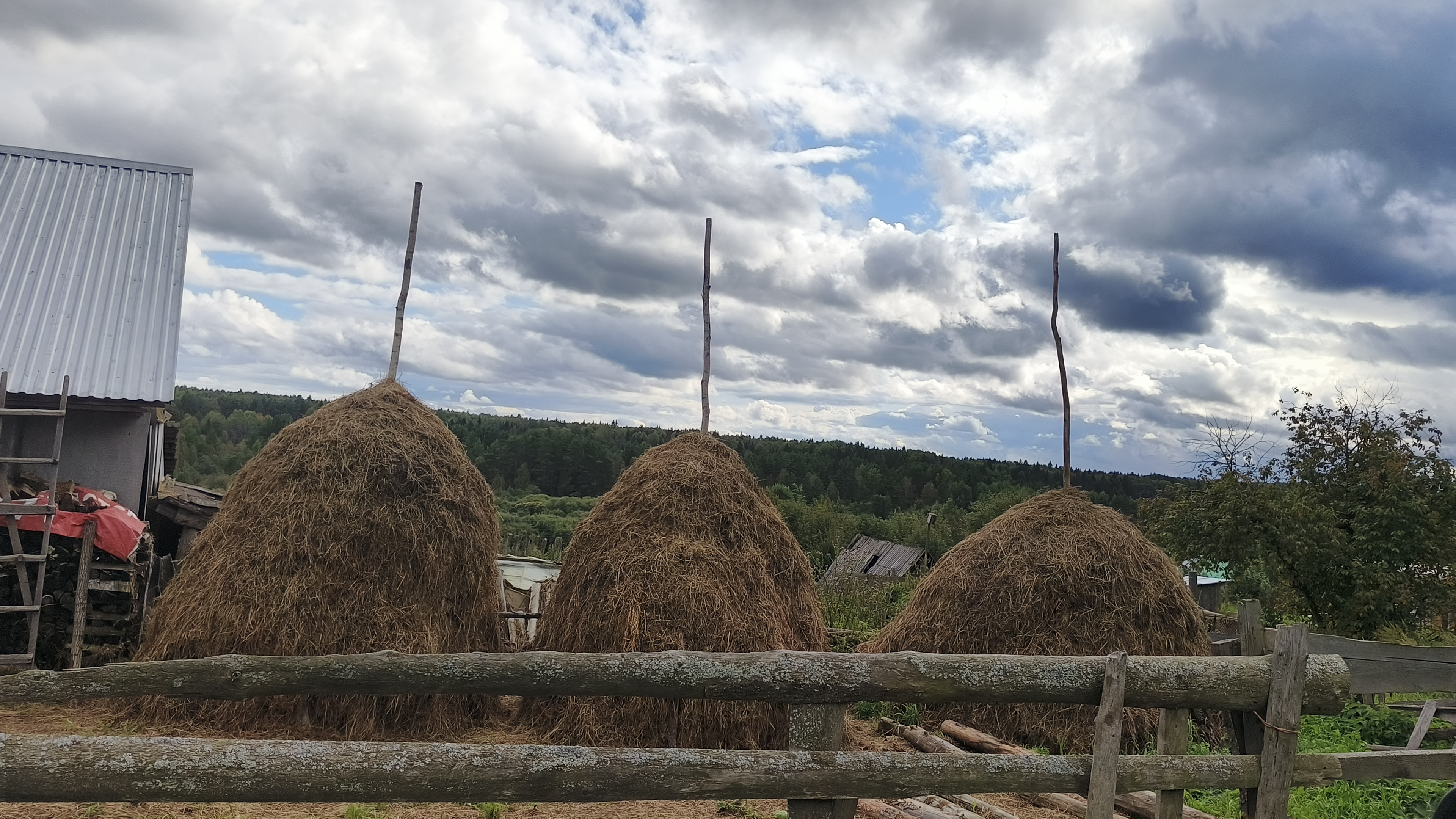 к зиме готовы