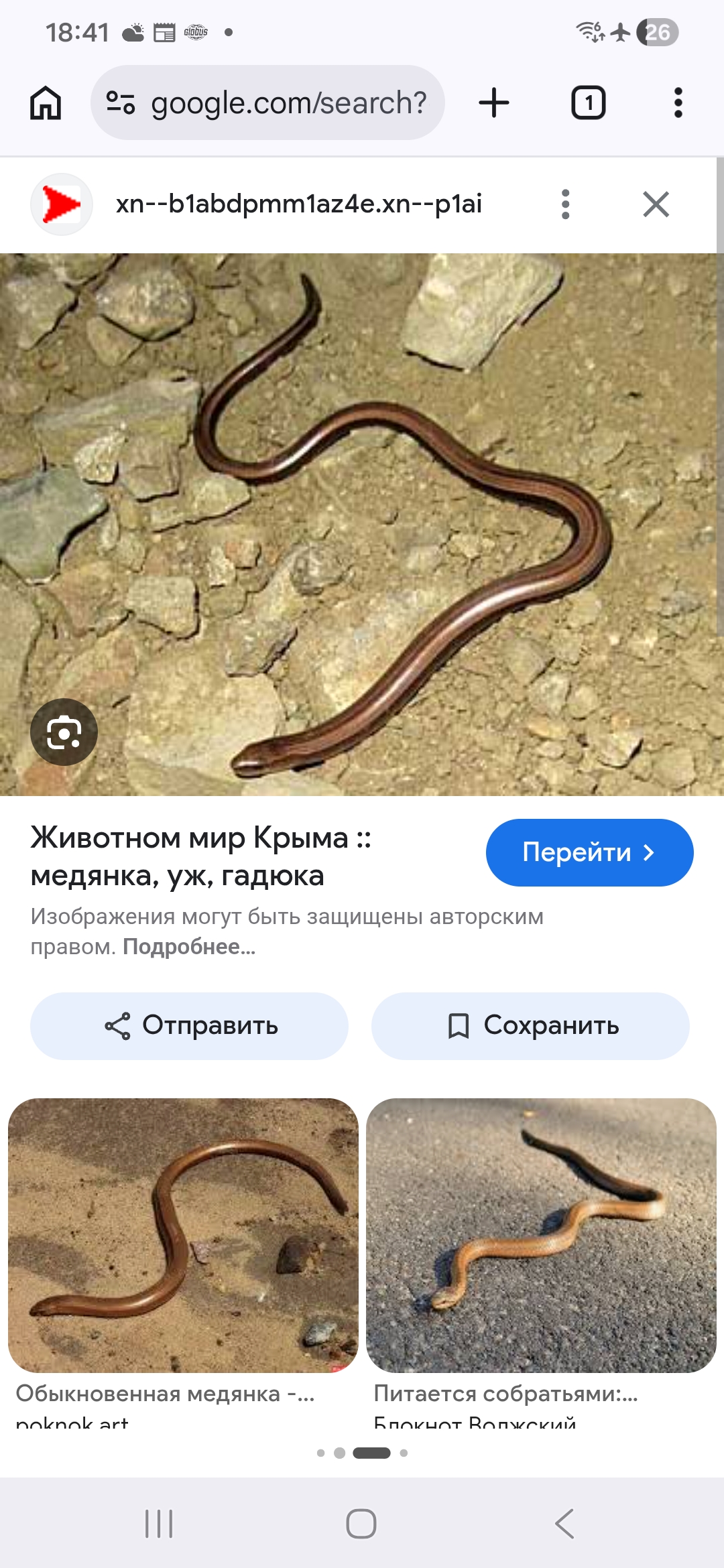 Фото взято из интернета.