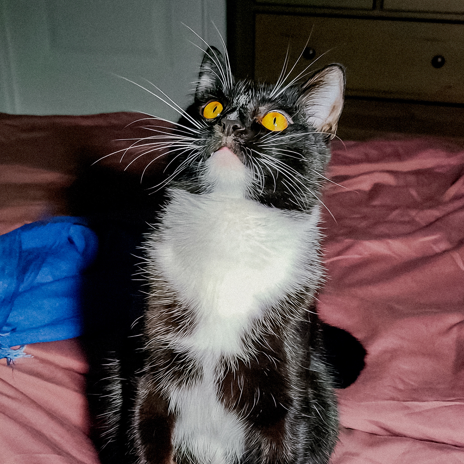 Взрослый Кузя