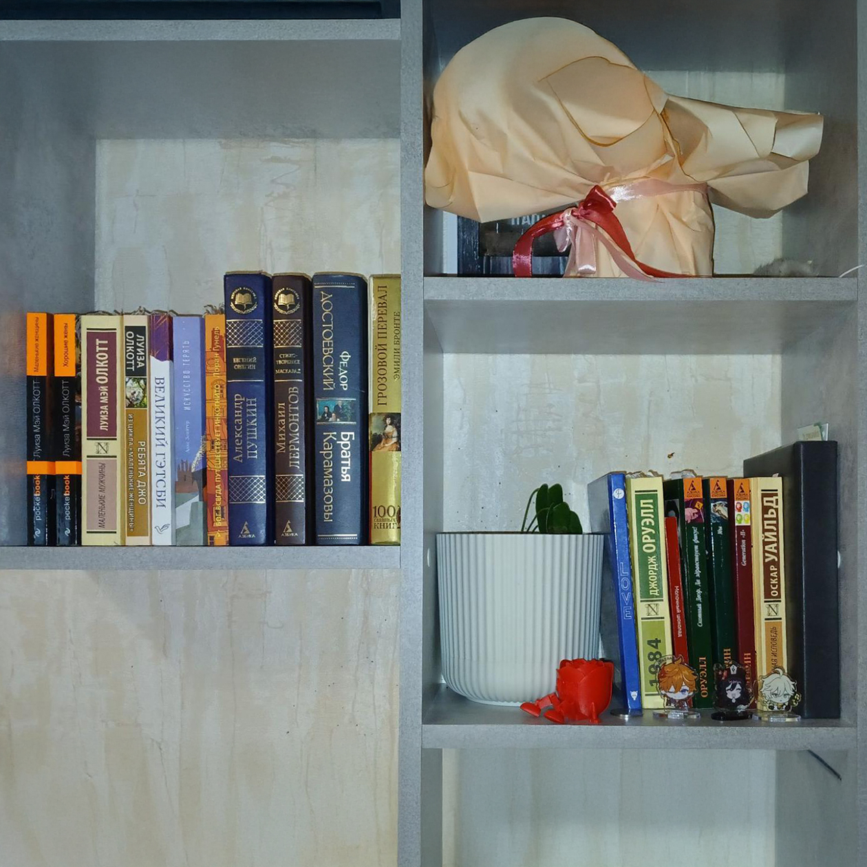 Моя полка с книгами