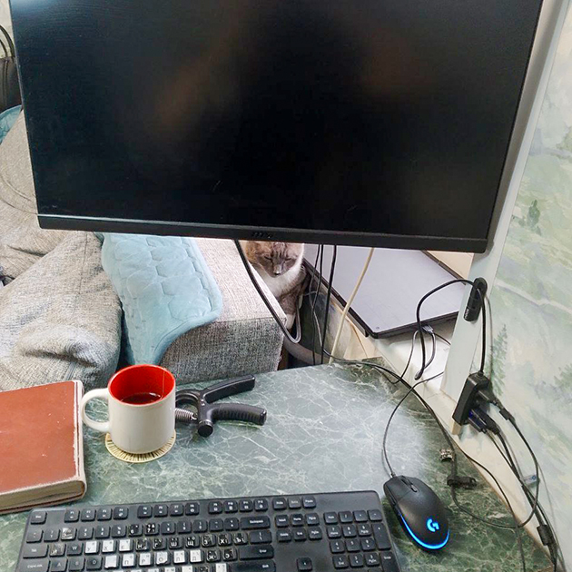 Мое рабочее место дома