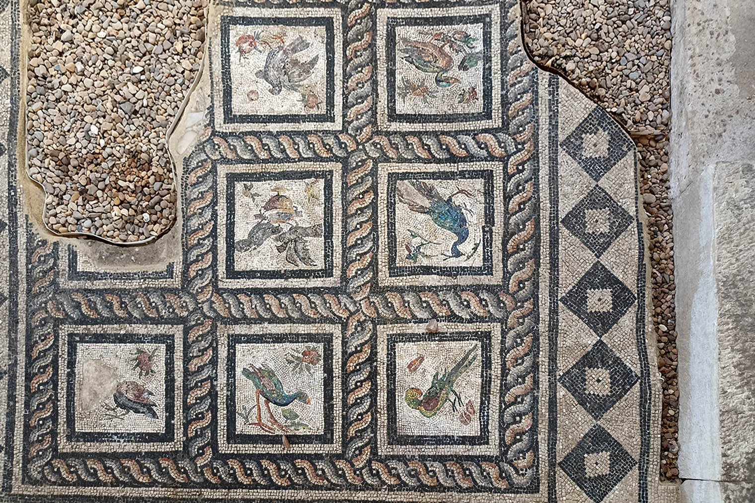 Мозаика на полу римской виллы. Птиц изначально было девять, но квадратики с двумя из них не уцелели