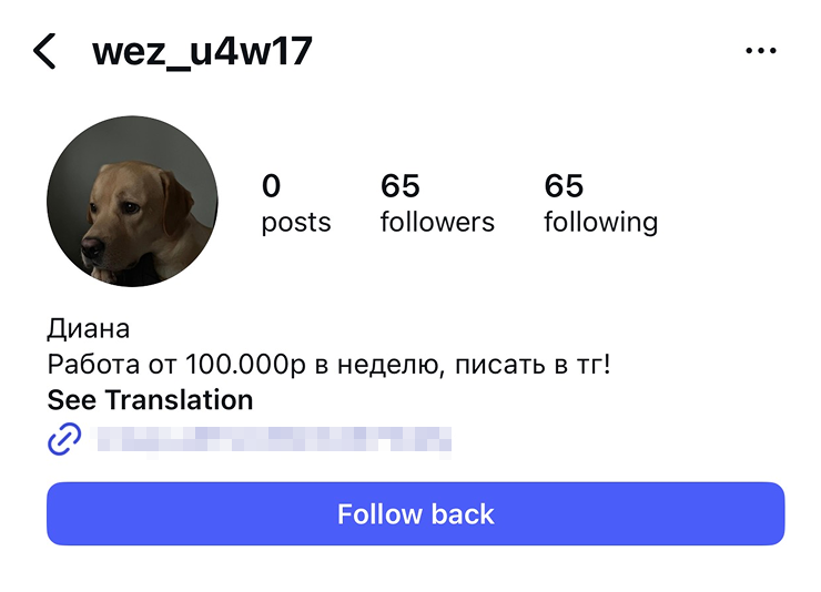 Типичный фейк-аккаунт. Тут много ред-флагов, но сомневаться можно начинать уже с рандомного никнейма