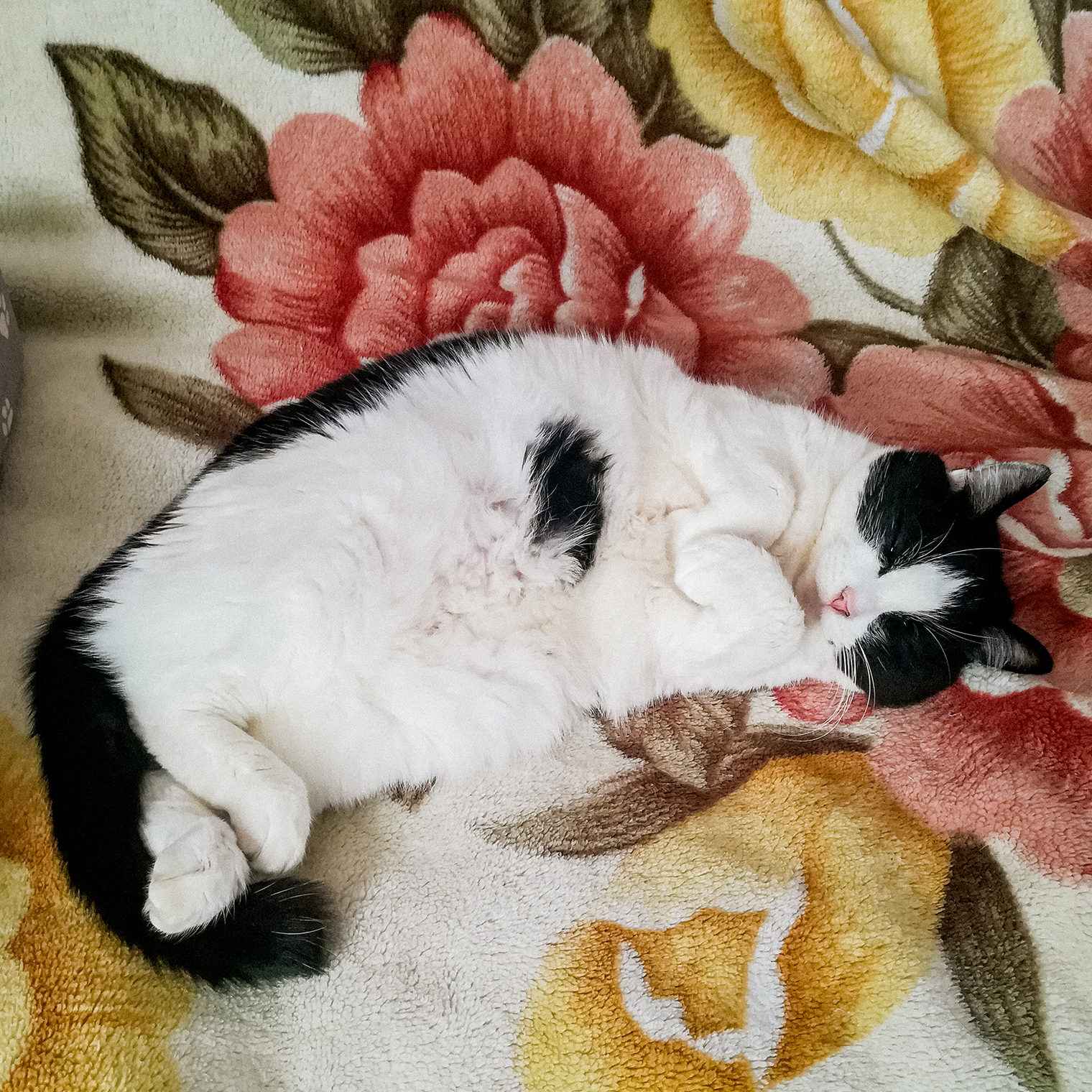 «Фух, наконец-то в квартире тепло»