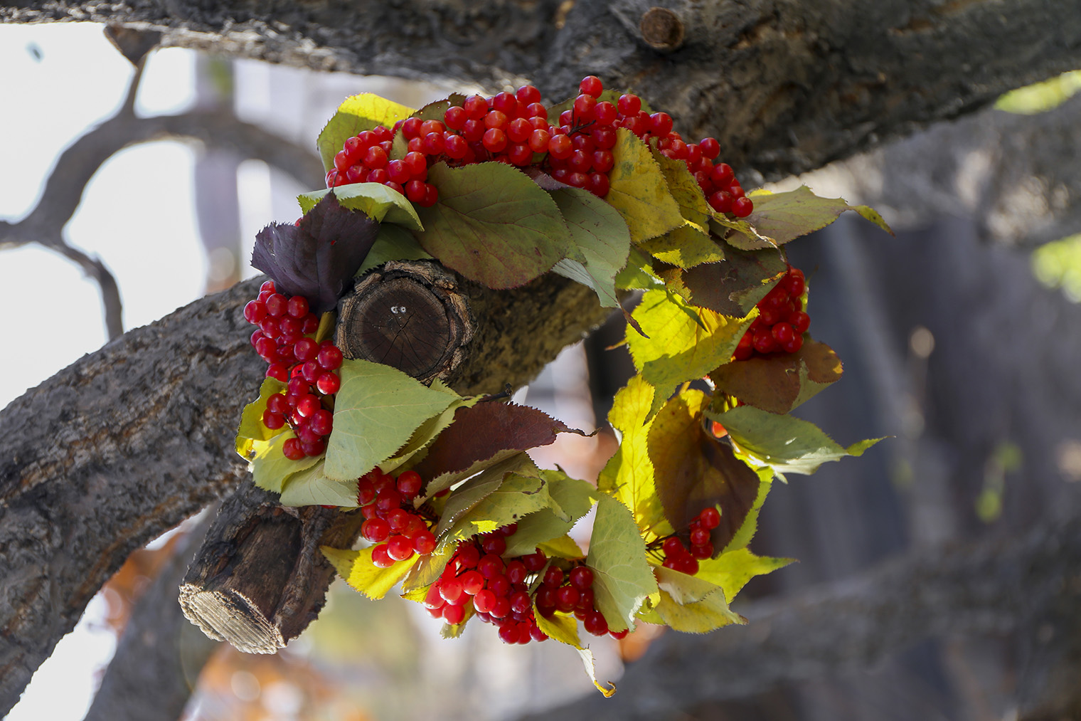 Один из моих венков