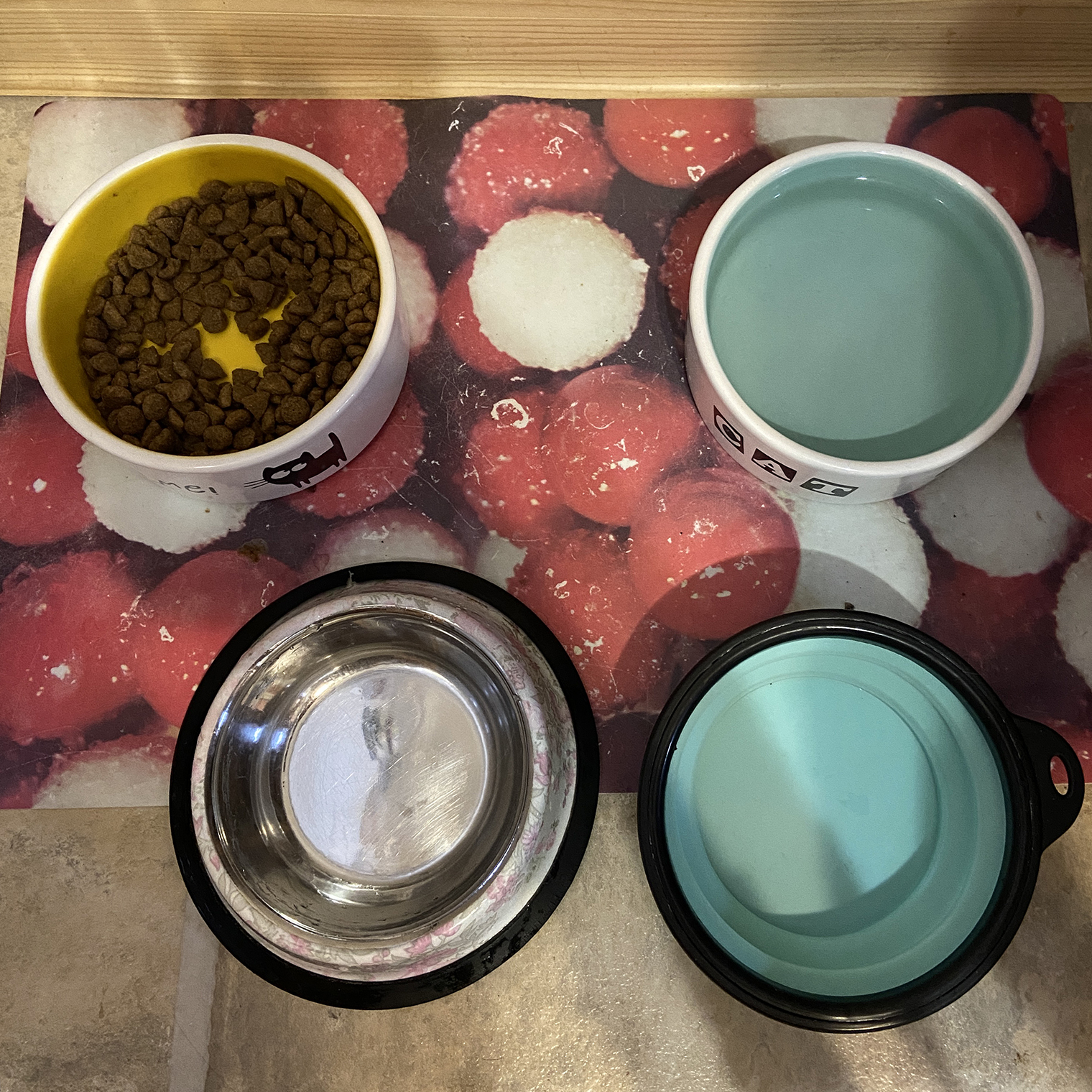 Такие у Эми миски