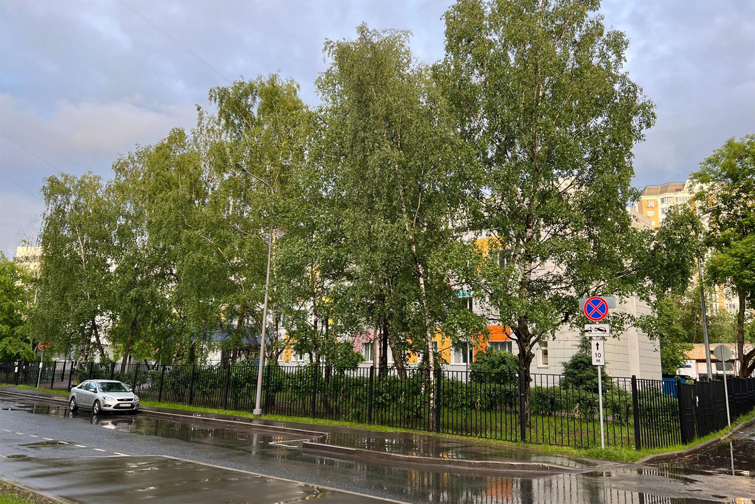 На территории музыкальной школы тоже много зелени