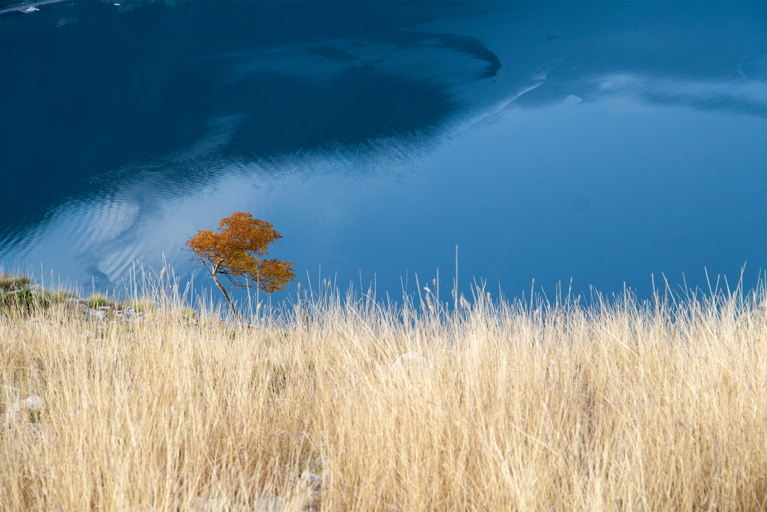 Например, такие минималистичные