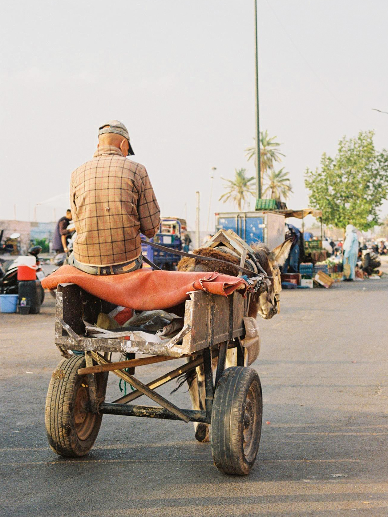 На улицах Марракеша можно одновременно встретить самокат, велосипед, карету с лошадьми, автомобиль и повозку с ослом