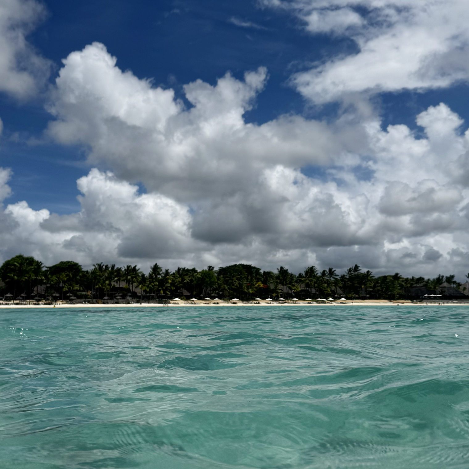 Так выглядели два часа экспедиции «В поисках черепах». В главной роли — берег. Черепахи выбрали режим «Инкогнито»