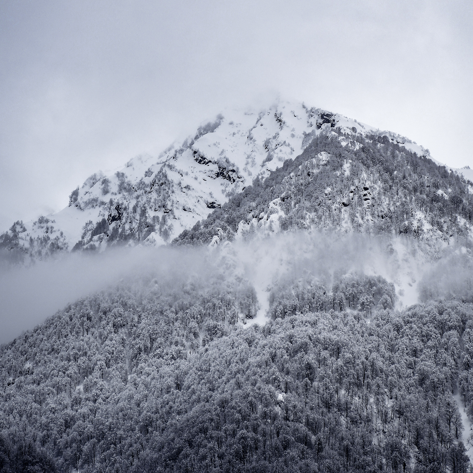 Вершина в объятиях тумана