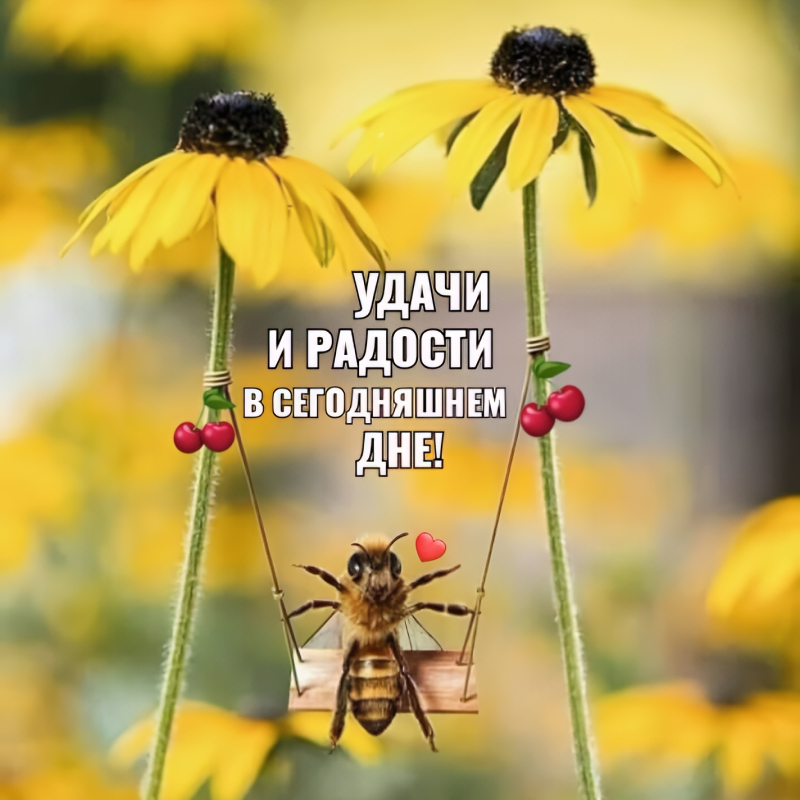 Пчелка