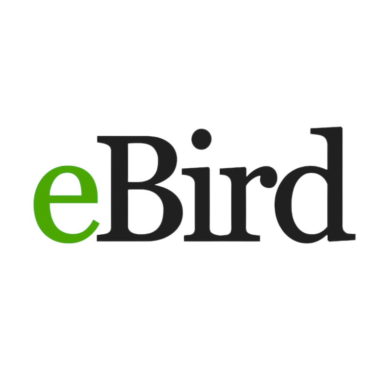 eBird