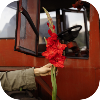 Лейбл заголовка