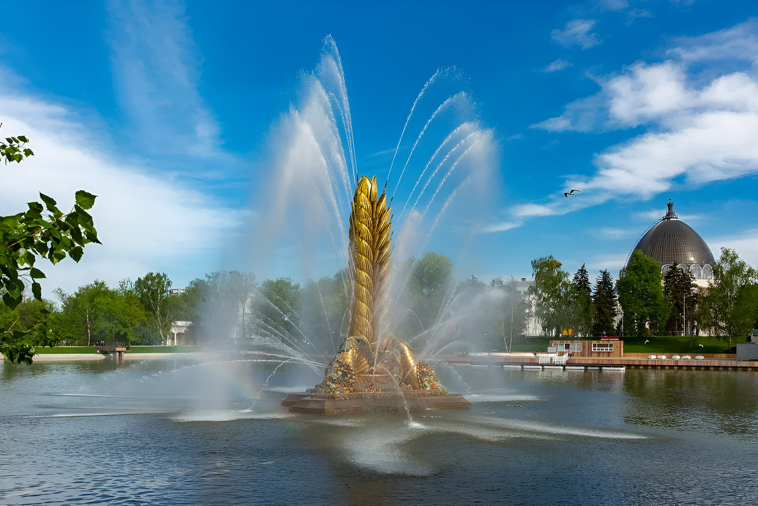 Возле фонтана «Золотой колос» летом катаются на лодках — рядом есть станция проката. Источник: vdnh.ru