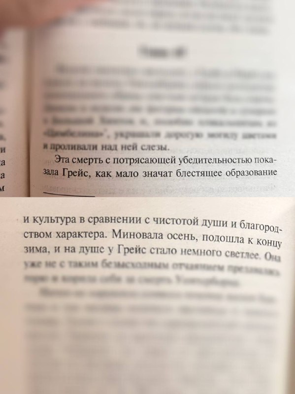 Цитата из книги В краю лесов Томаса Гарди.