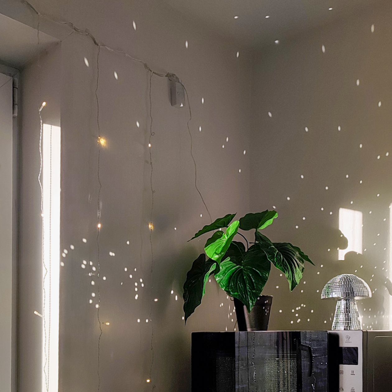 Солнечные зайчики над микроволновкой в погожий день