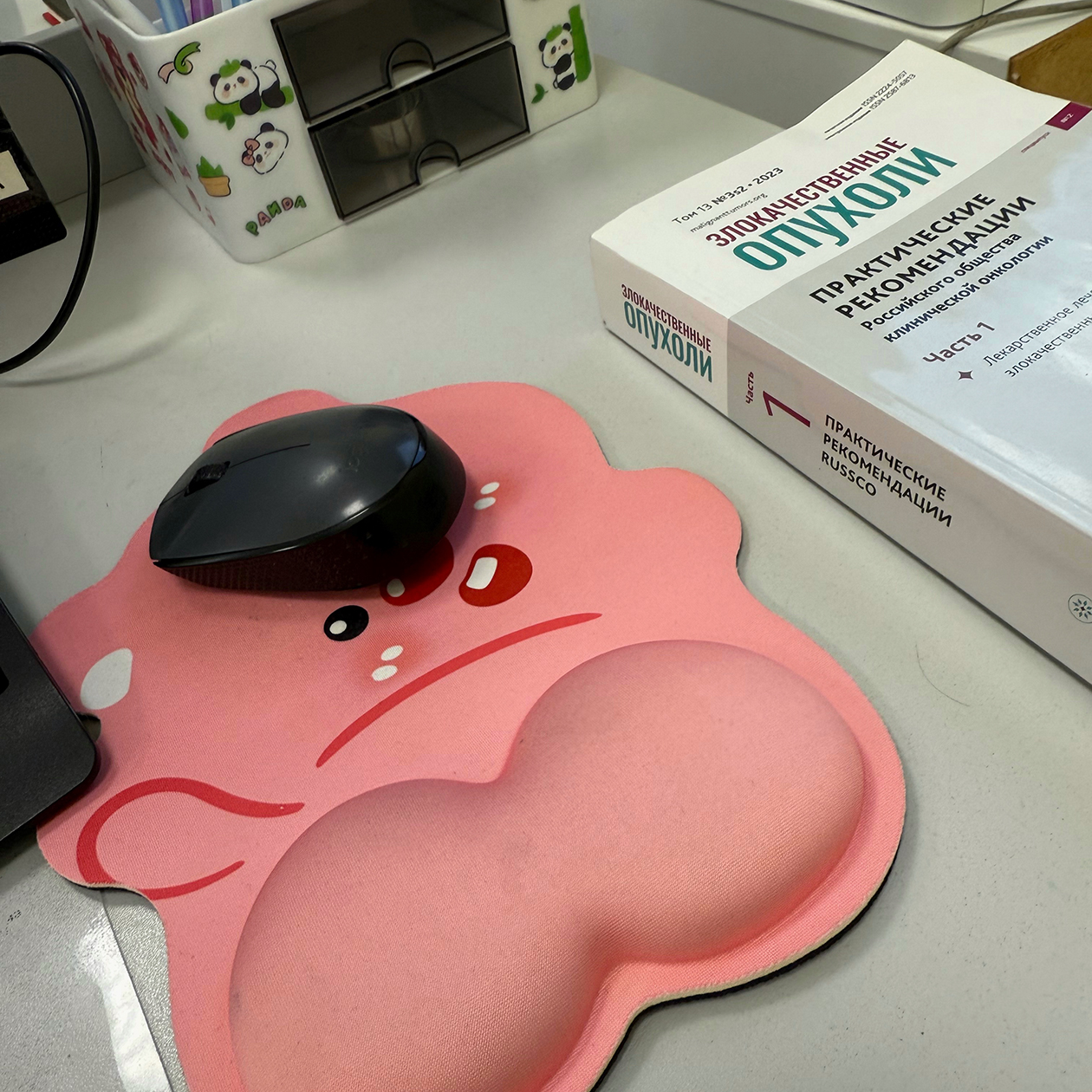 Мой новый коврик для мышки и веселый органайзер для канцелярии
