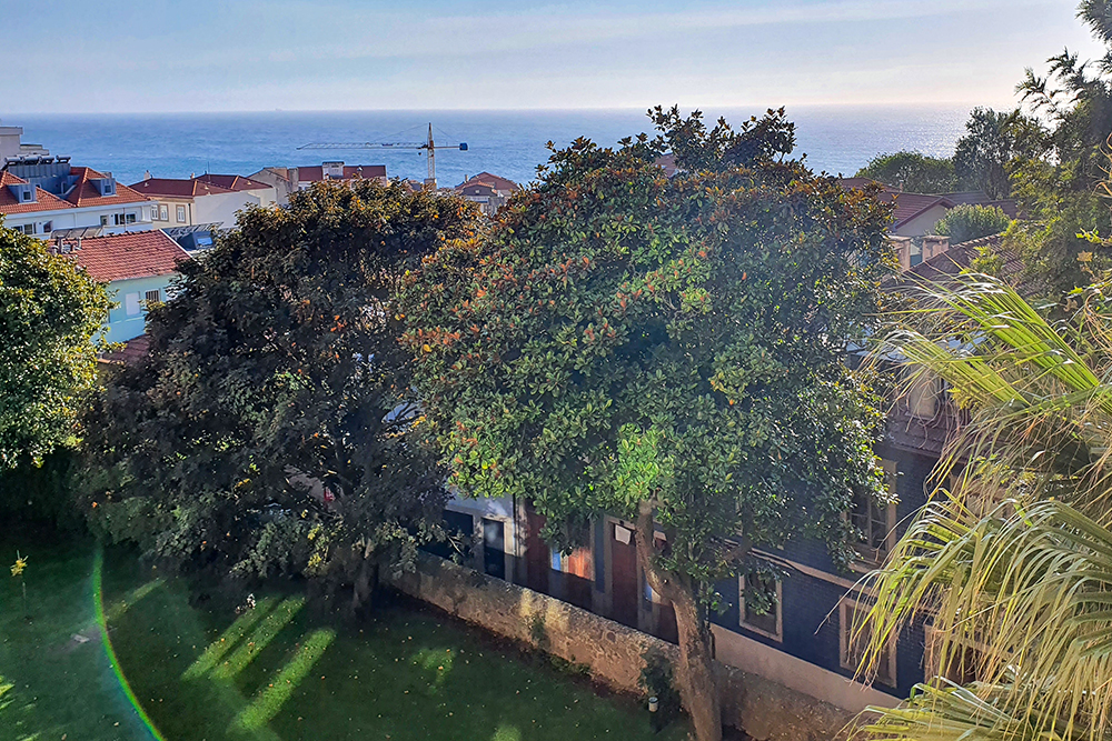 Вид из окон арендованной квартиры. Это фото было в объявлении. Кусочек океана и зелень радуют глаз