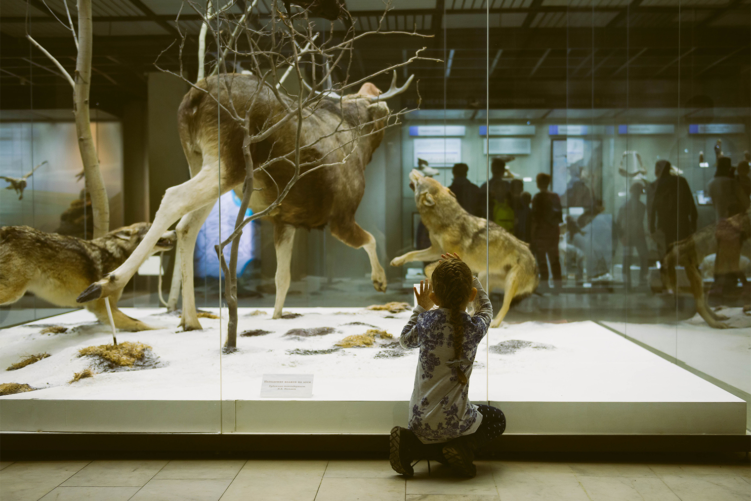 © Nigmatulina Aleksandra / Shutterstock / FOTODOM