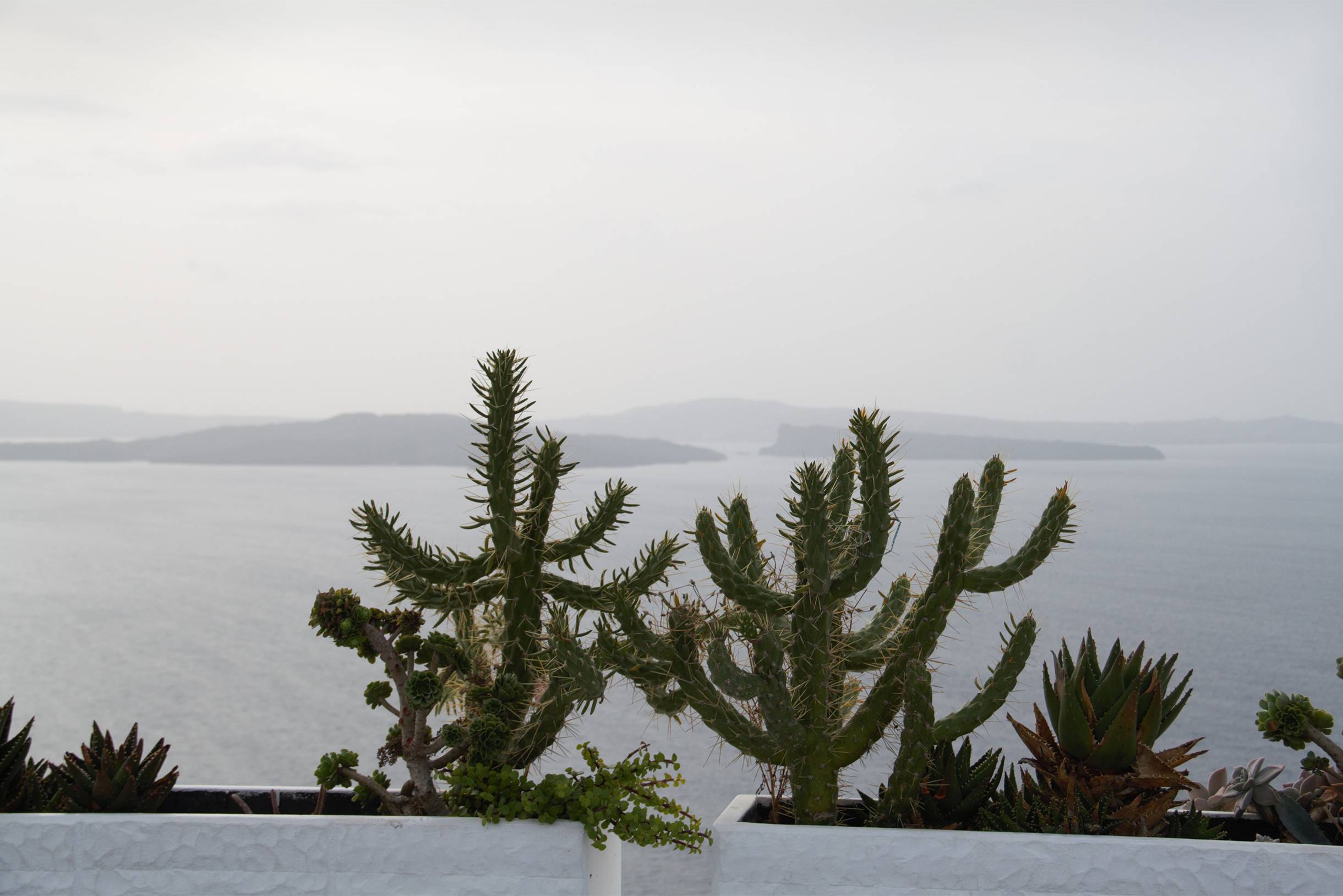 Из Ии в Тиру можно дойти пешком по живописной тропе. Путь длиной 10—11 километров занимает 2—3 часа