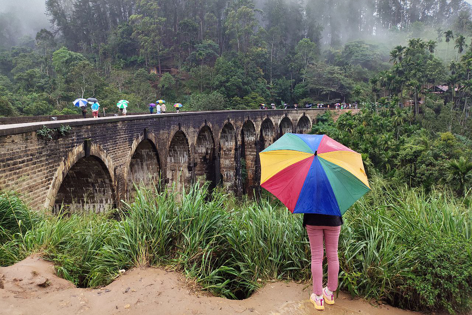 В Хиккадуве мы купили двухдневную экскурсию по главным достопримечательностям Шри-Ланки. В первый день звездой программы был знаменитый Девятиарочный мост в Элле. Его масштабы нас восхитили, как и местные джунгли. Но обнаружился нюанс, о котором почему-то не сказал гид: здесь часто кусают травяные пиявки. Мы с мужем были в закрытой одежде и обуви, но встречи с ними наши ноги все равно не избежали