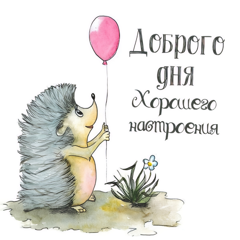 Ежик с шариком
