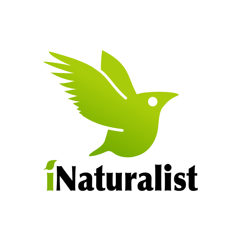 iNaturalist