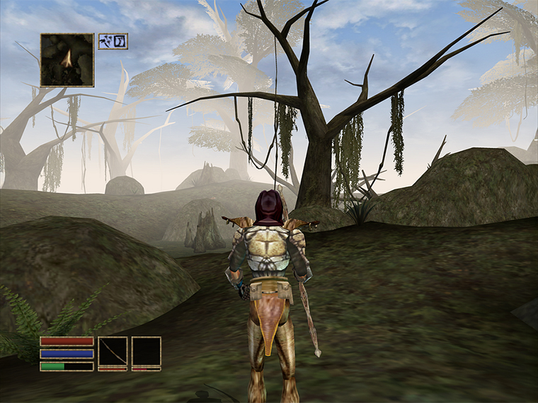 Разумеется, никакие моды на консольную версию Morrowind поставить нельзя