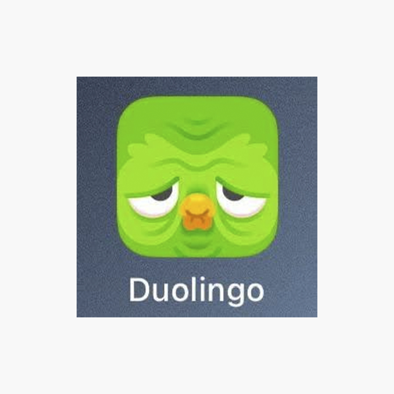 Недавние иконки приложения «Дуолинго»