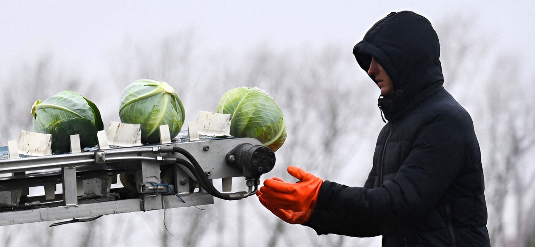 Средняя по году зарплата в России впервые превысила 1 000 $