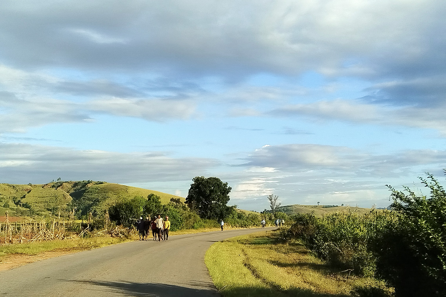 После посещения чайной плантации мы поехали до города Мурундава и знаменитой Аллеи баобабов. Она находится на западном побережье. Мы там были в поисках племени микеа, но из⁠-⁠за размытых дорог не смогли проехать по побережью наверх