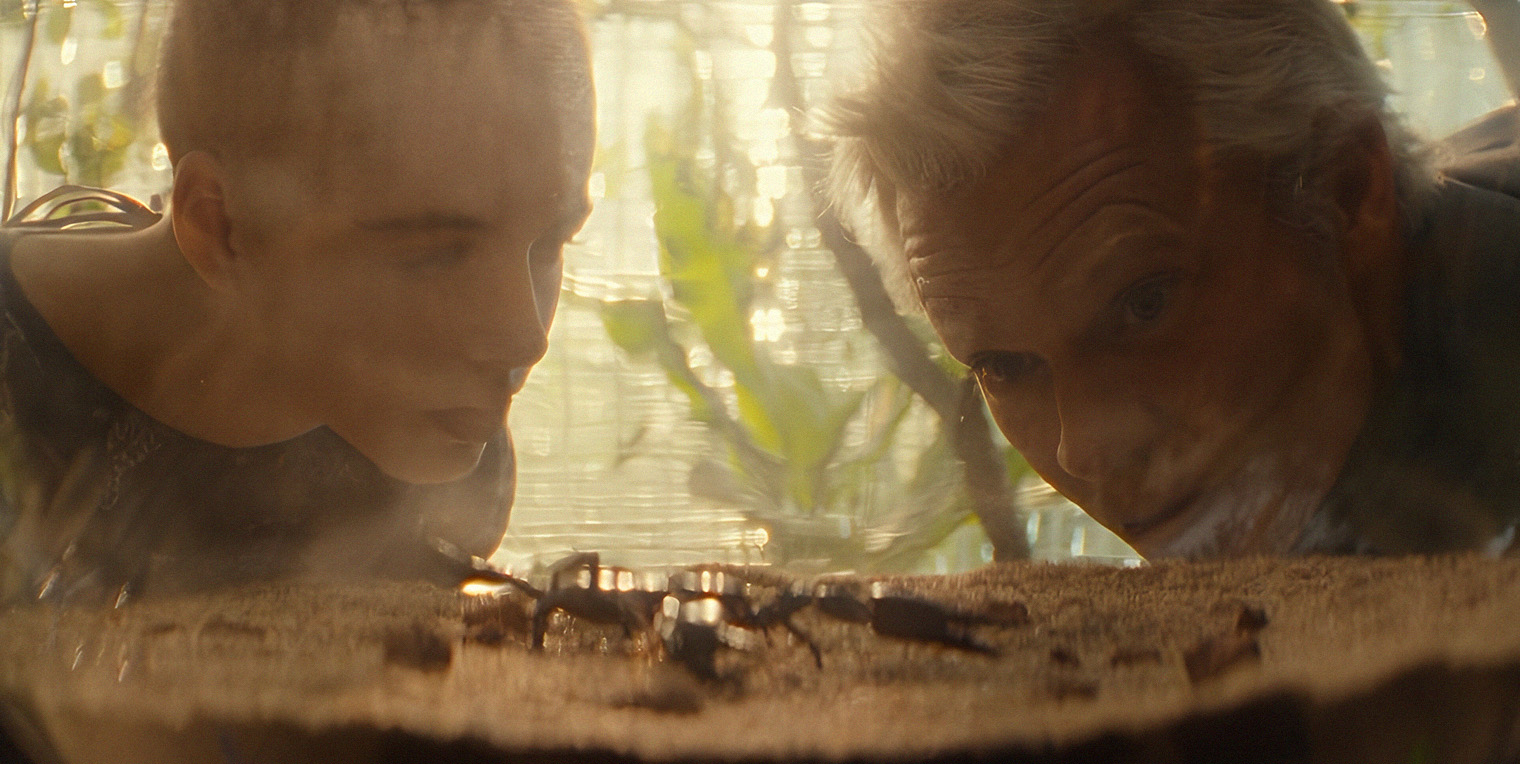 В открывающей сцене сериала больная девочка беседует с роботом о ценности человеческой жизни. И это как нельзя лучше характеризует весь тон сериала. Кадр: Hulu