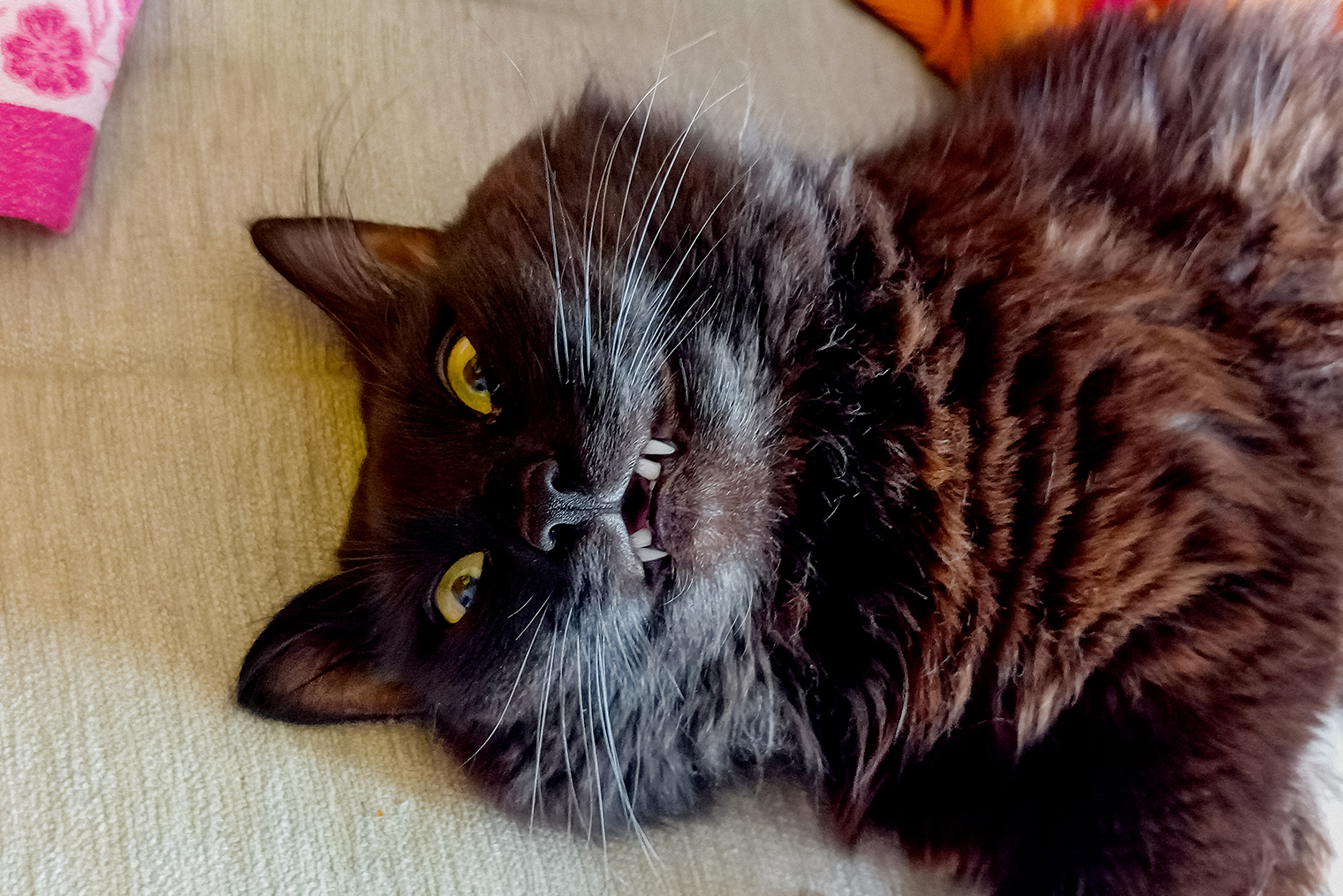 Марс счастлив от того, как сложилась его судьба