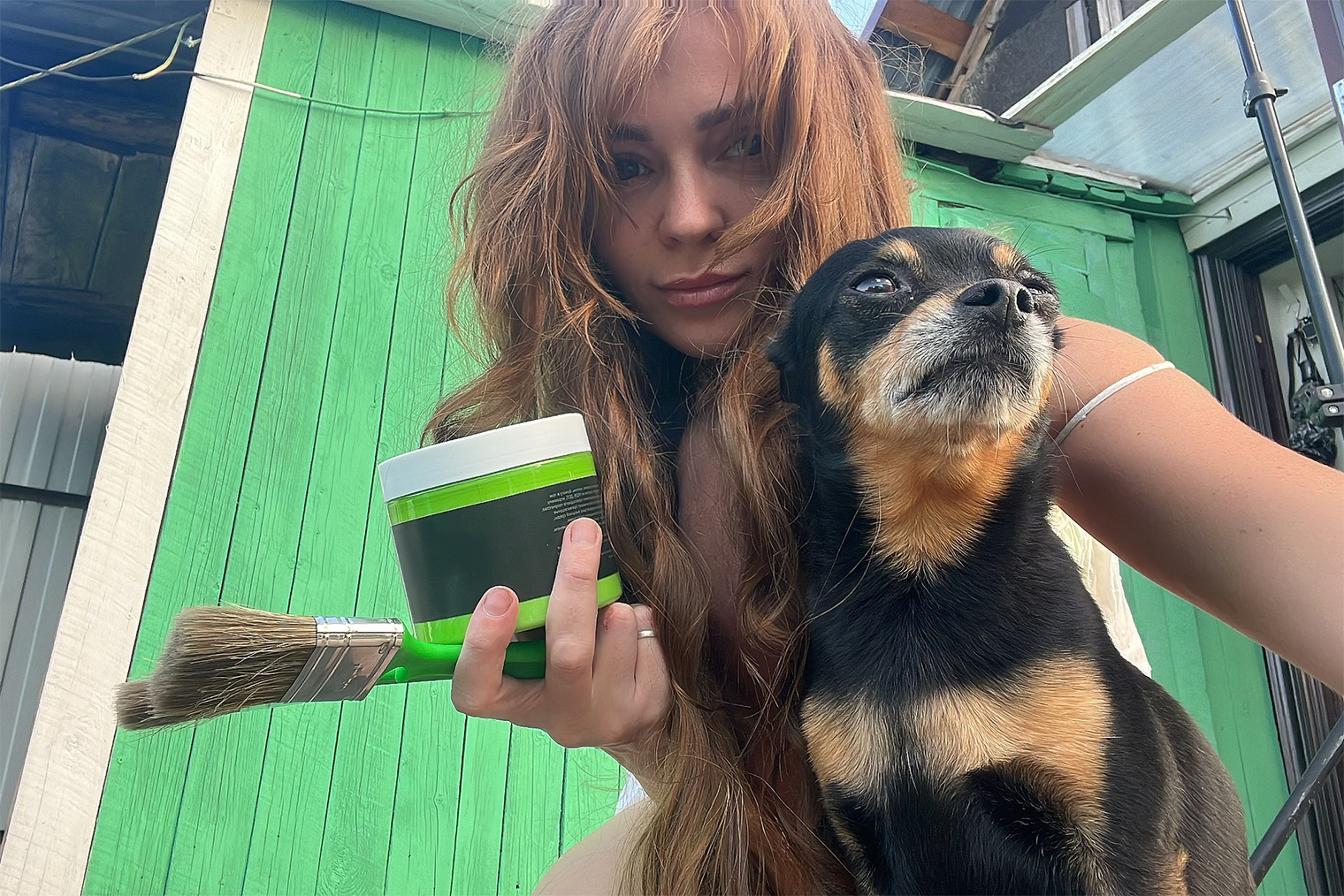 Мой той-терьер Паечка помогал красить