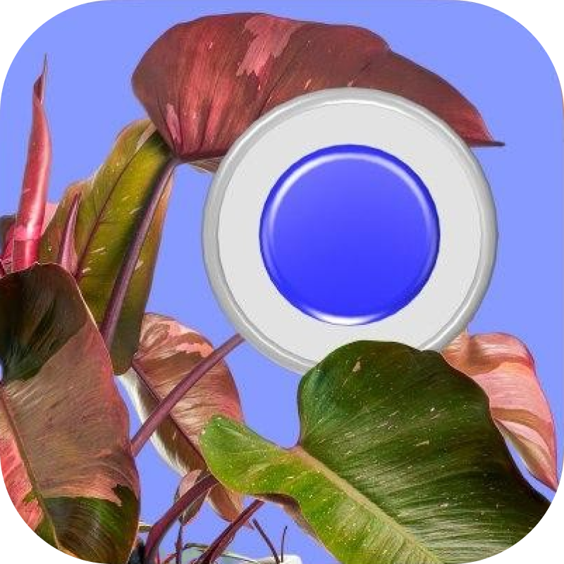 А что из этого приживется у вас?