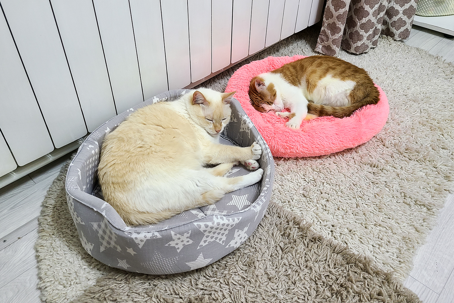 И конечно, лежать бок о бок после игр