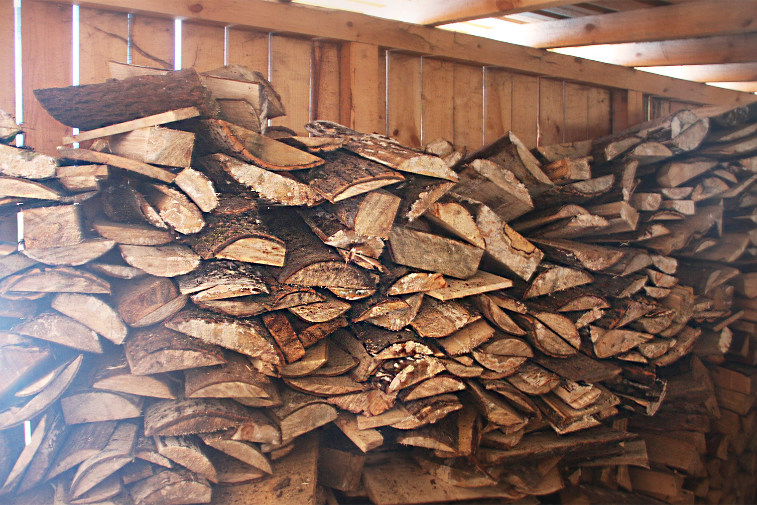 Осиновые сырые дрова. Поздней осенью соседи помогли нам перенести их в дровник