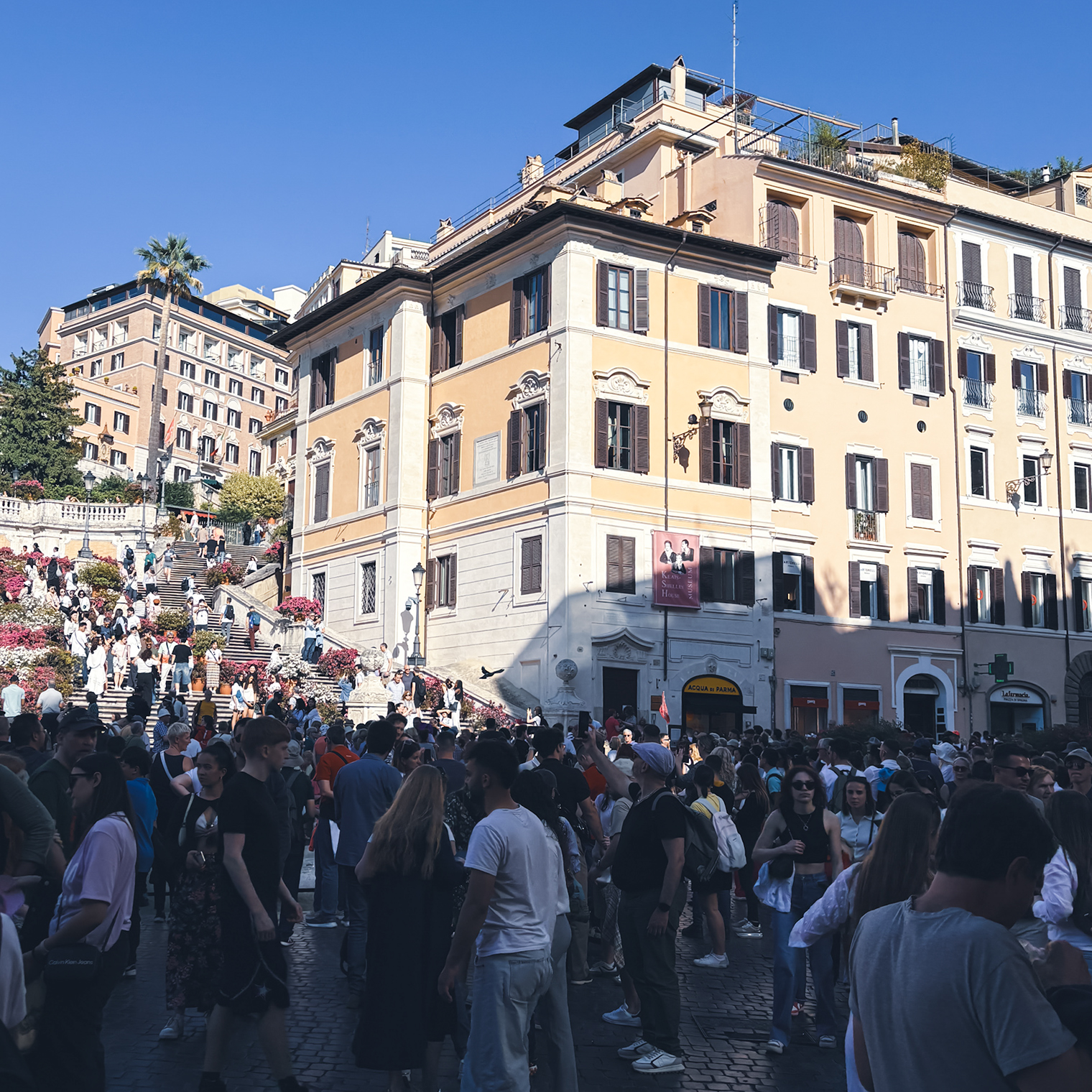 К испанской лестнице не пошли, потому что желающих посмотреть ее было очень много. Протискиваться в толпе посчитали сомнительным удовольствием