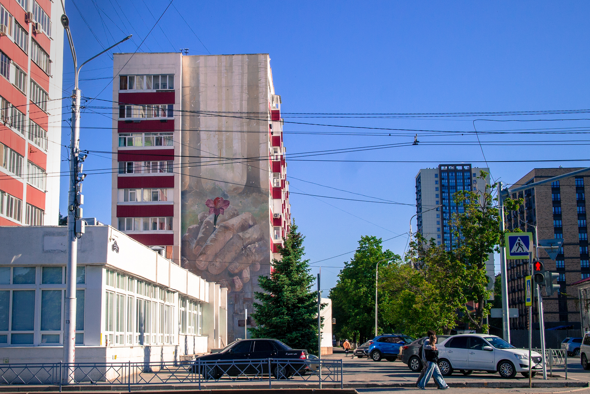 Продолжение гербария на противоположном торце дома